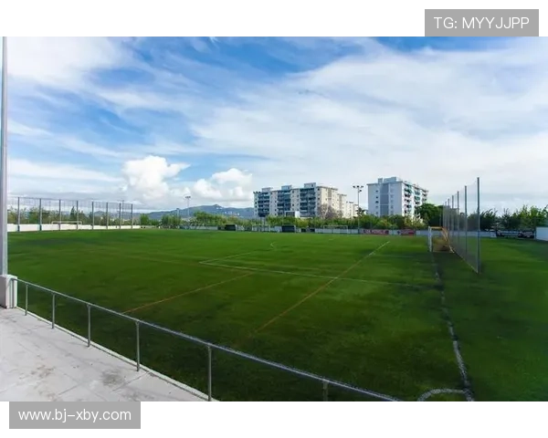 西班牙人俱乐部重塑辉煌之路探秘球队发展与未来战略布局 西班牙人俱乐部重塑辉煌之路探秘球队发展与未来战略布局